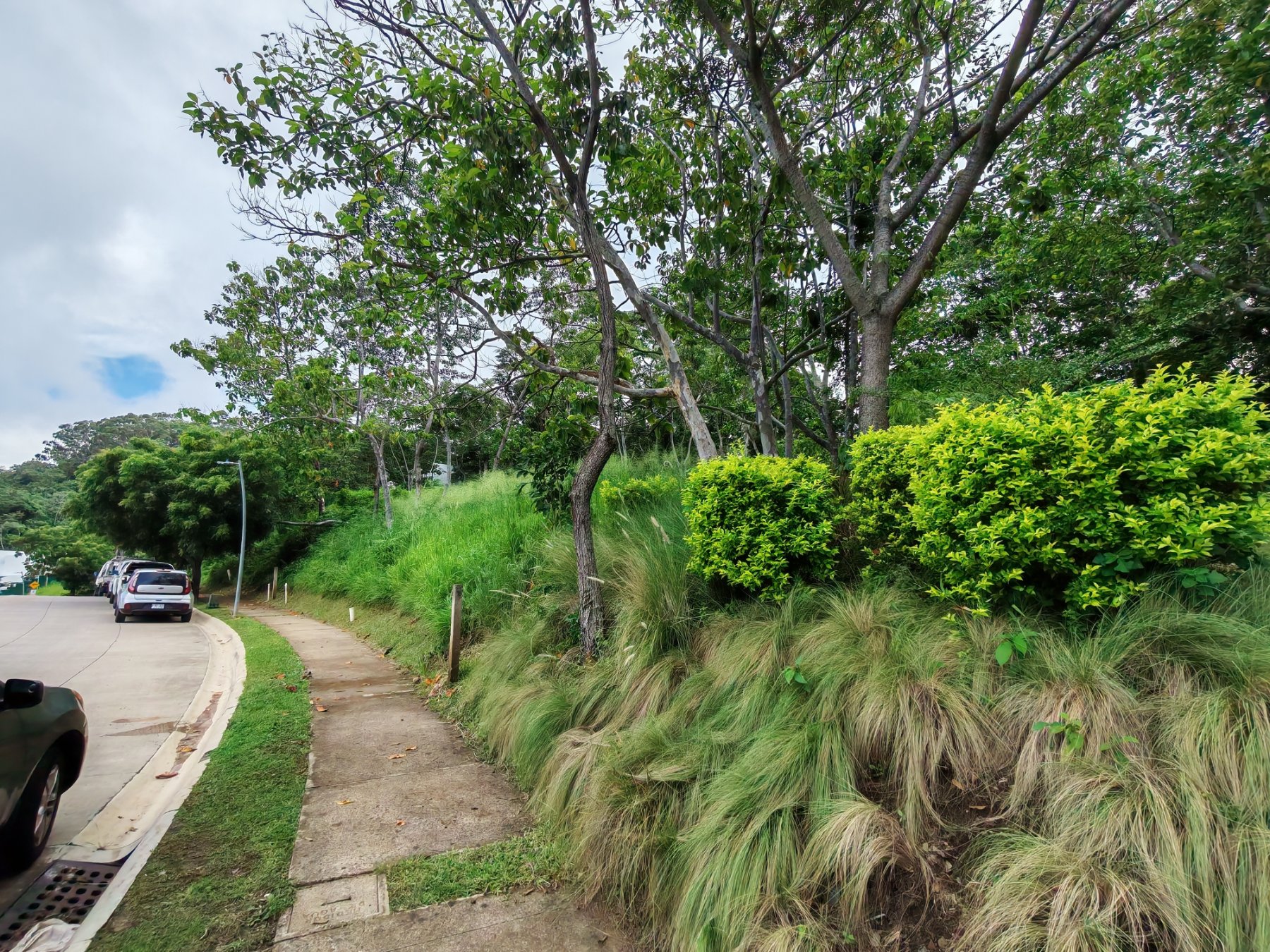 Terreno en Country Club El Encanto, fotografía 6