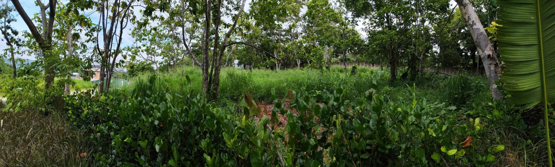 Terreno en Country Club El Encanto, fotografía 3