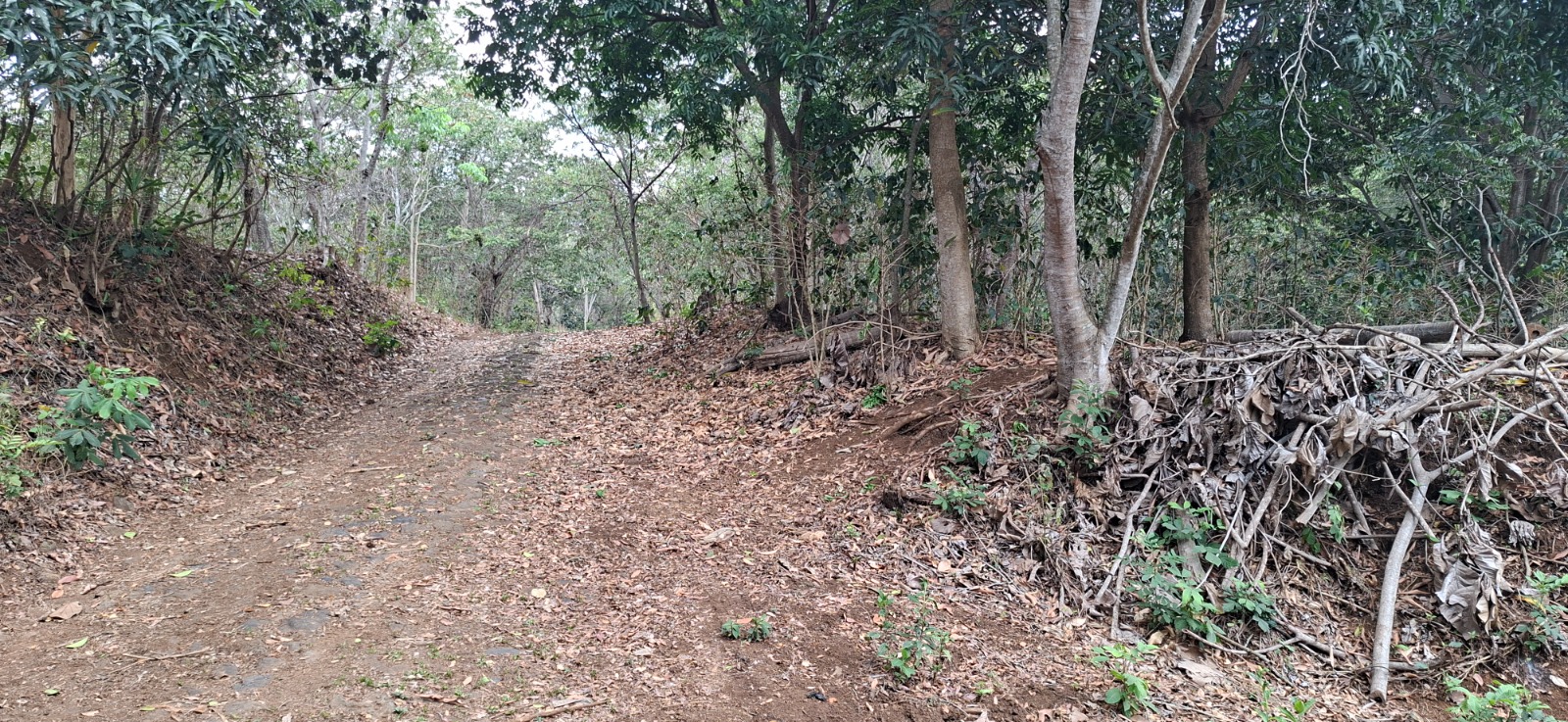Terreno en Cantón Flor Amarilla Abajo Santa Ana, fotografía 5