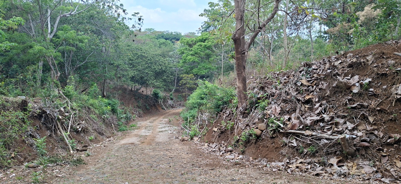 Terreno en Cantón Flor Amarilla Abajo Santa Ana, fotografía 8