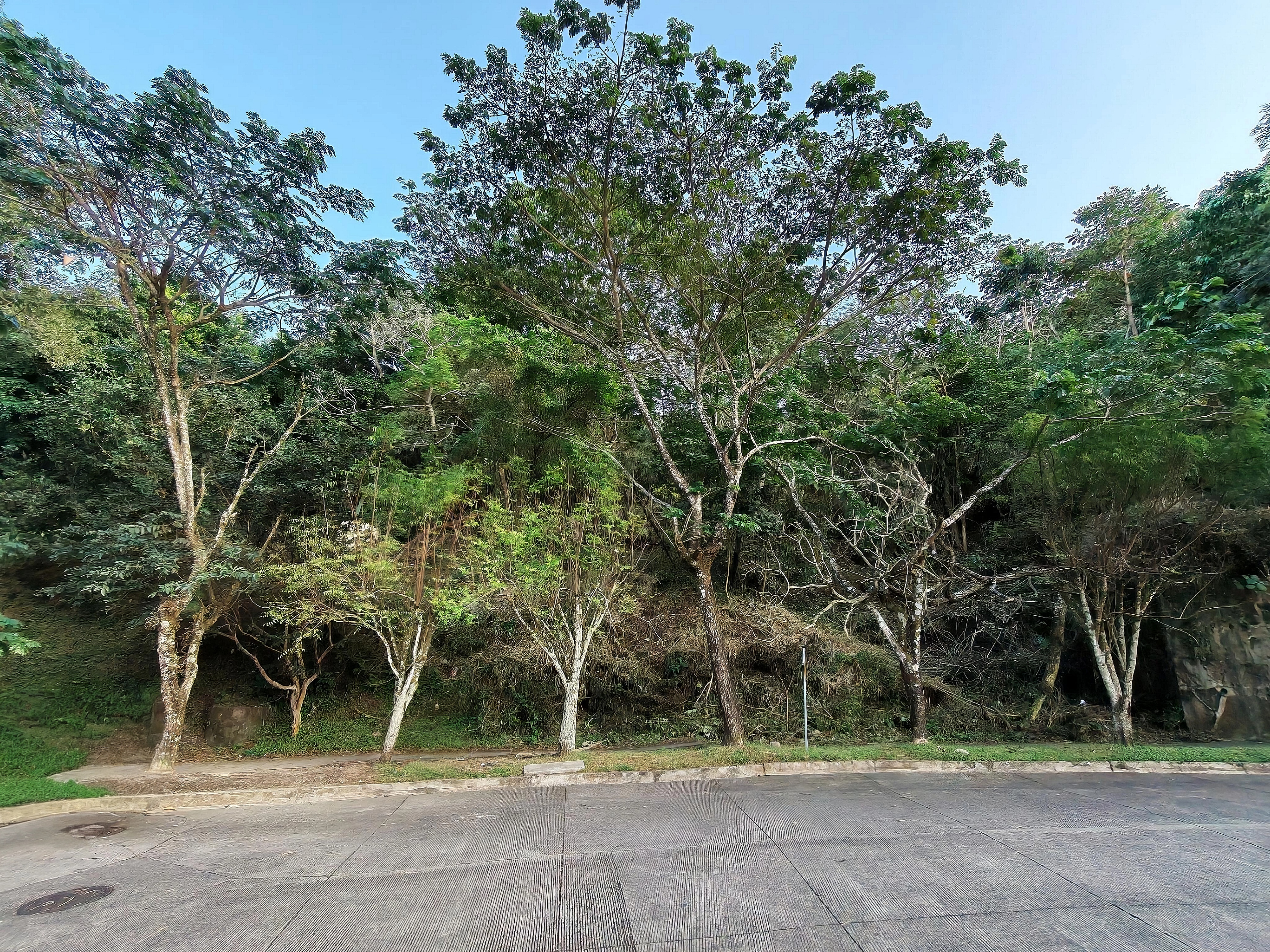 Terreno en Portones 1 Madreselva, fotografía 5