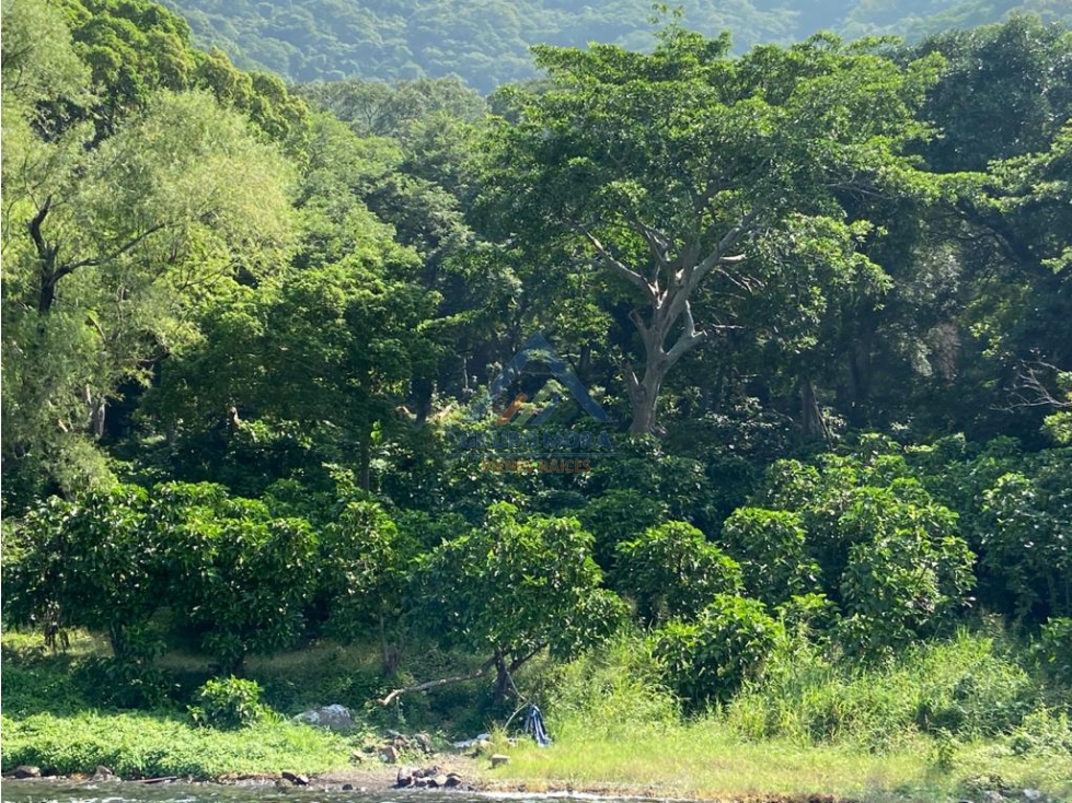 Terreno rústico en Lago de Coatepeque, fotografía 2